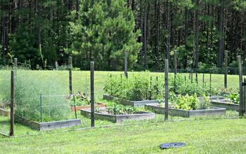 Take Your Yard to New Heights With Ten Terrific Raised Garden Bed Tips